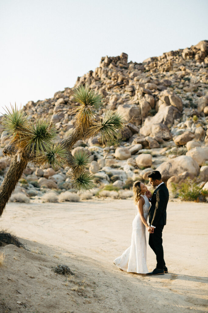 Joshua Tree Elopement