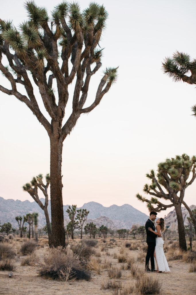 Joshua Tree Elopement