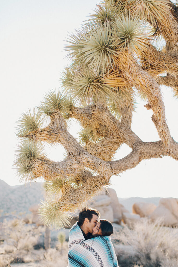 Joshua Tree Engagement session