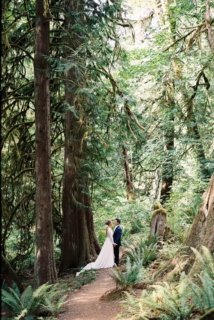 Forest wedding in Washington State