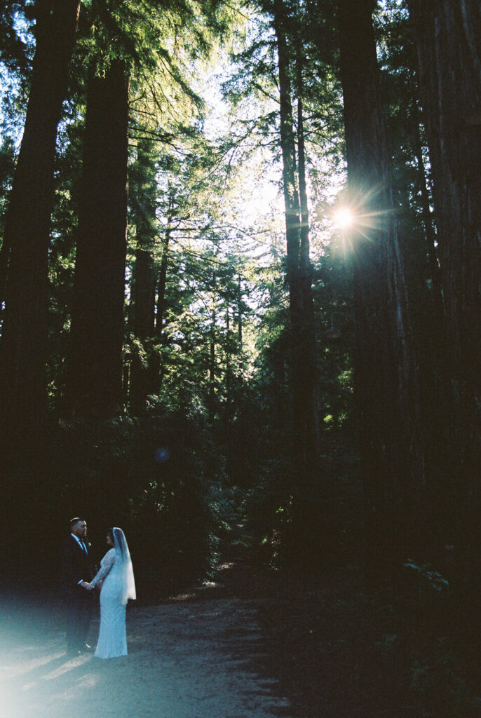 Big Sur Glen Oaks Wedding