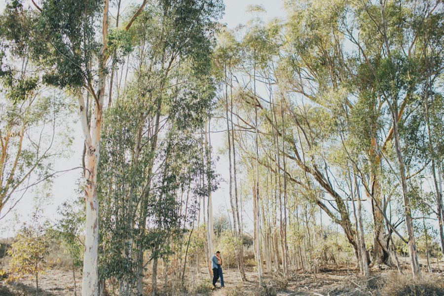 Topanga Canyon Hike Engagement // Laura Goldenberger Photography