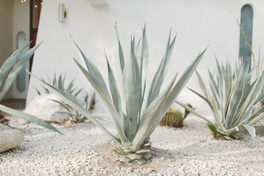 Casa Verona, Palm Springs Wedding // Laura Goldenberger Photography