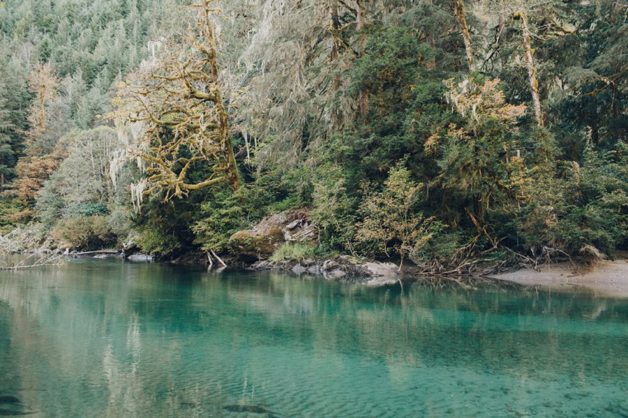 Washington State Campground Wedding // Laura Goldenberger Photography