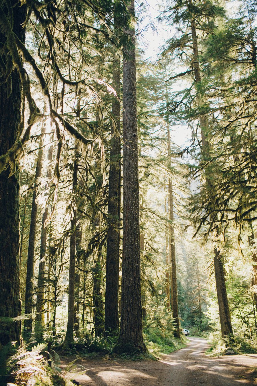 Washington State Campground Wedding // Laura Goldenberger Photography