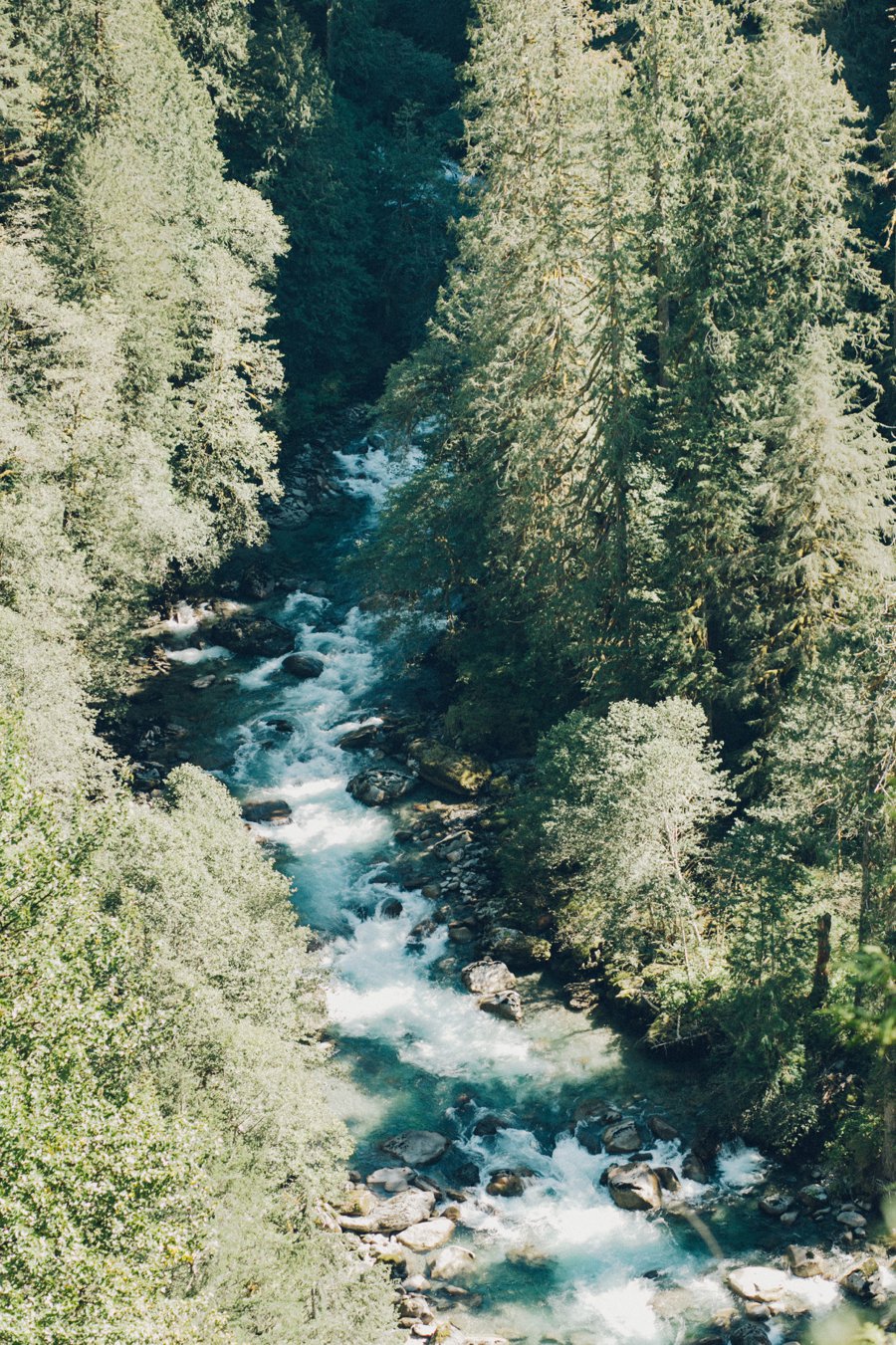 Washington State Campground Wedding // Laura Goldenberger Photography