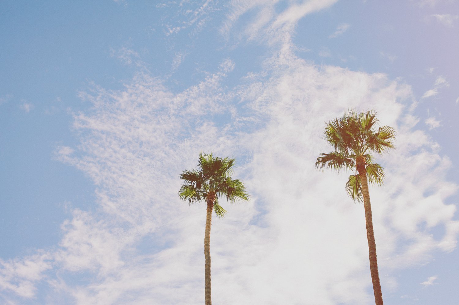 frederick loewe estate wedding // Laura Goldenberger Photography